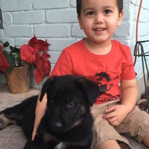 Meet your Posher, Robert